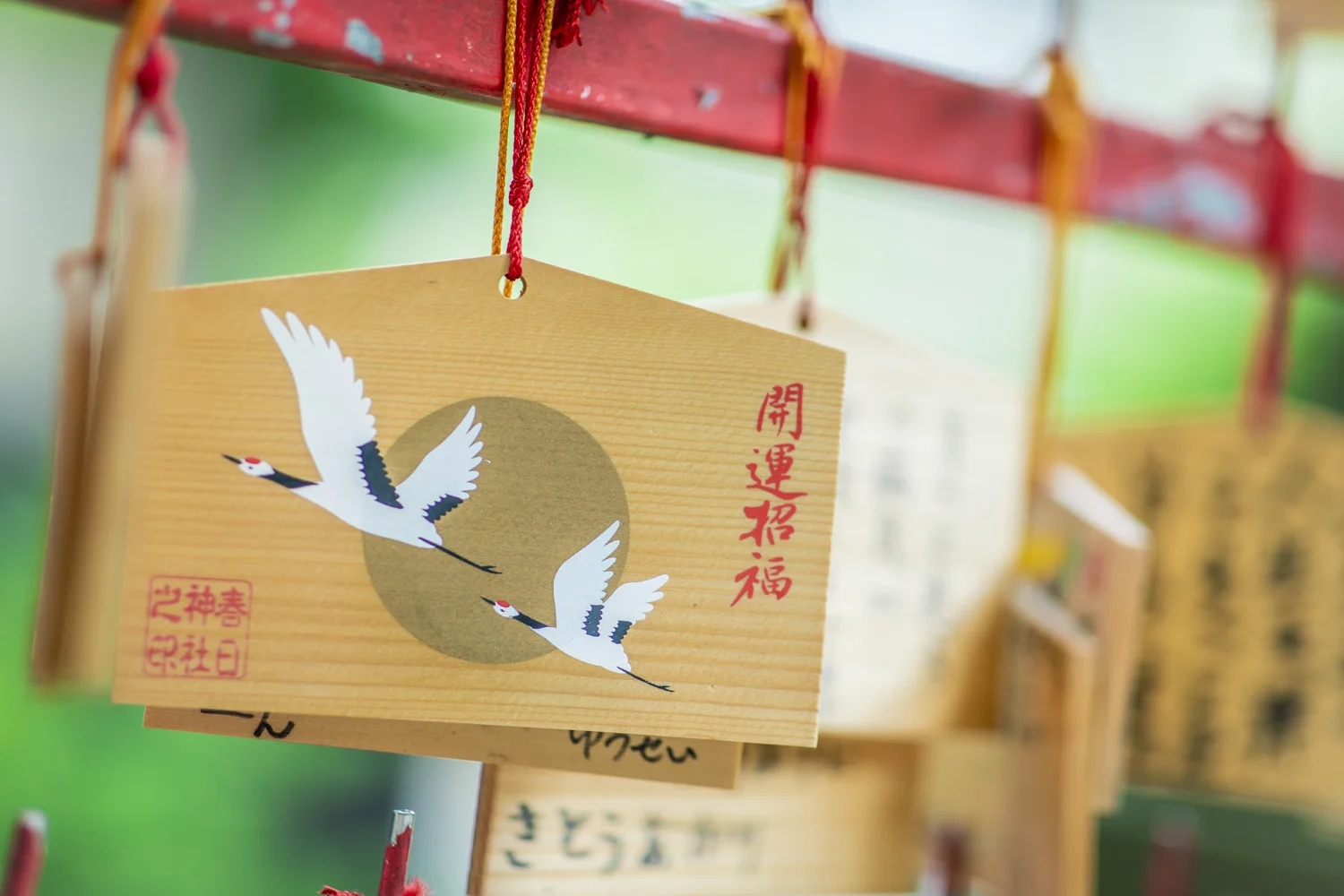 kasuga-shrine_30.jpg