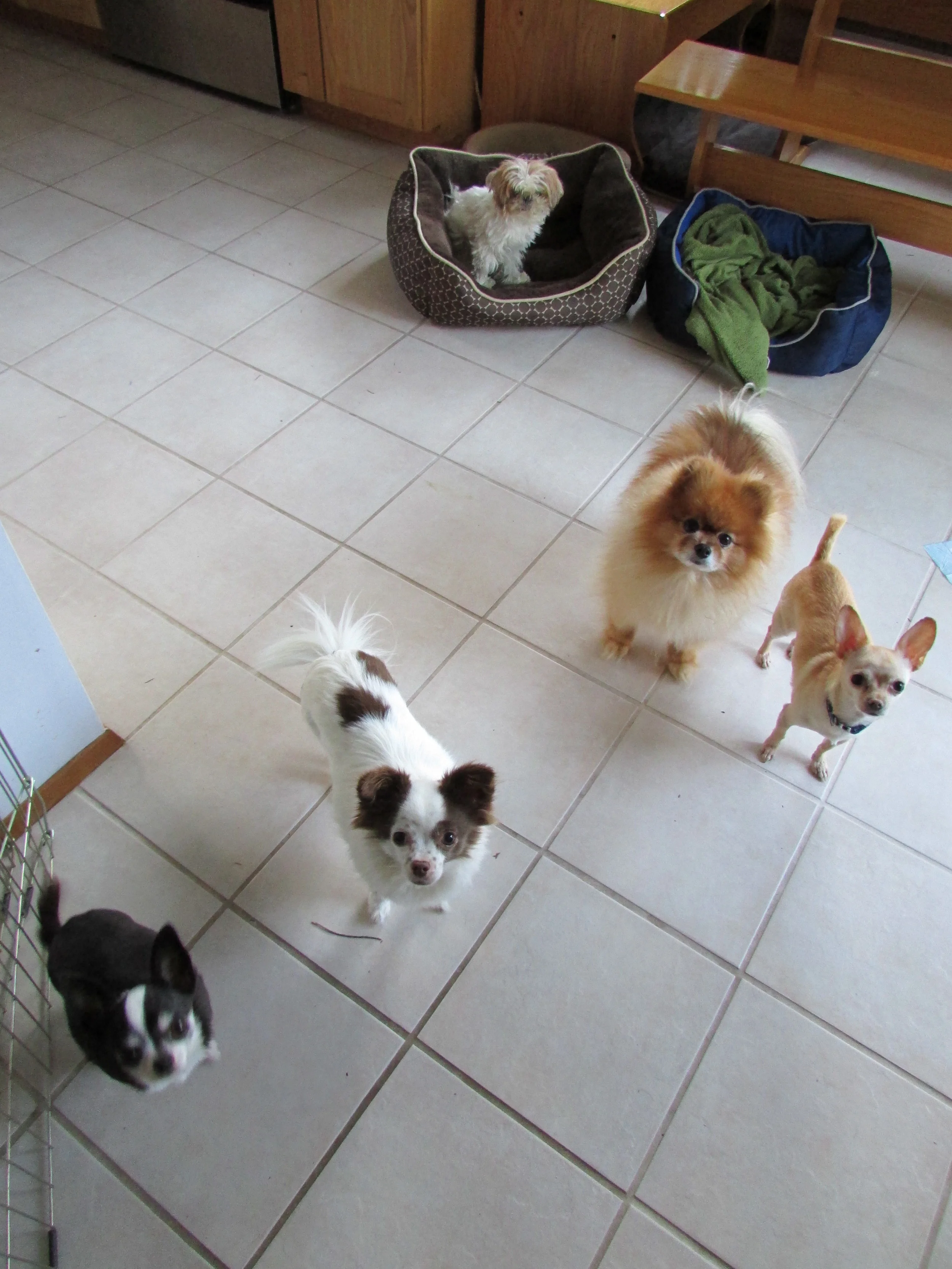 Is it dinner time yet?