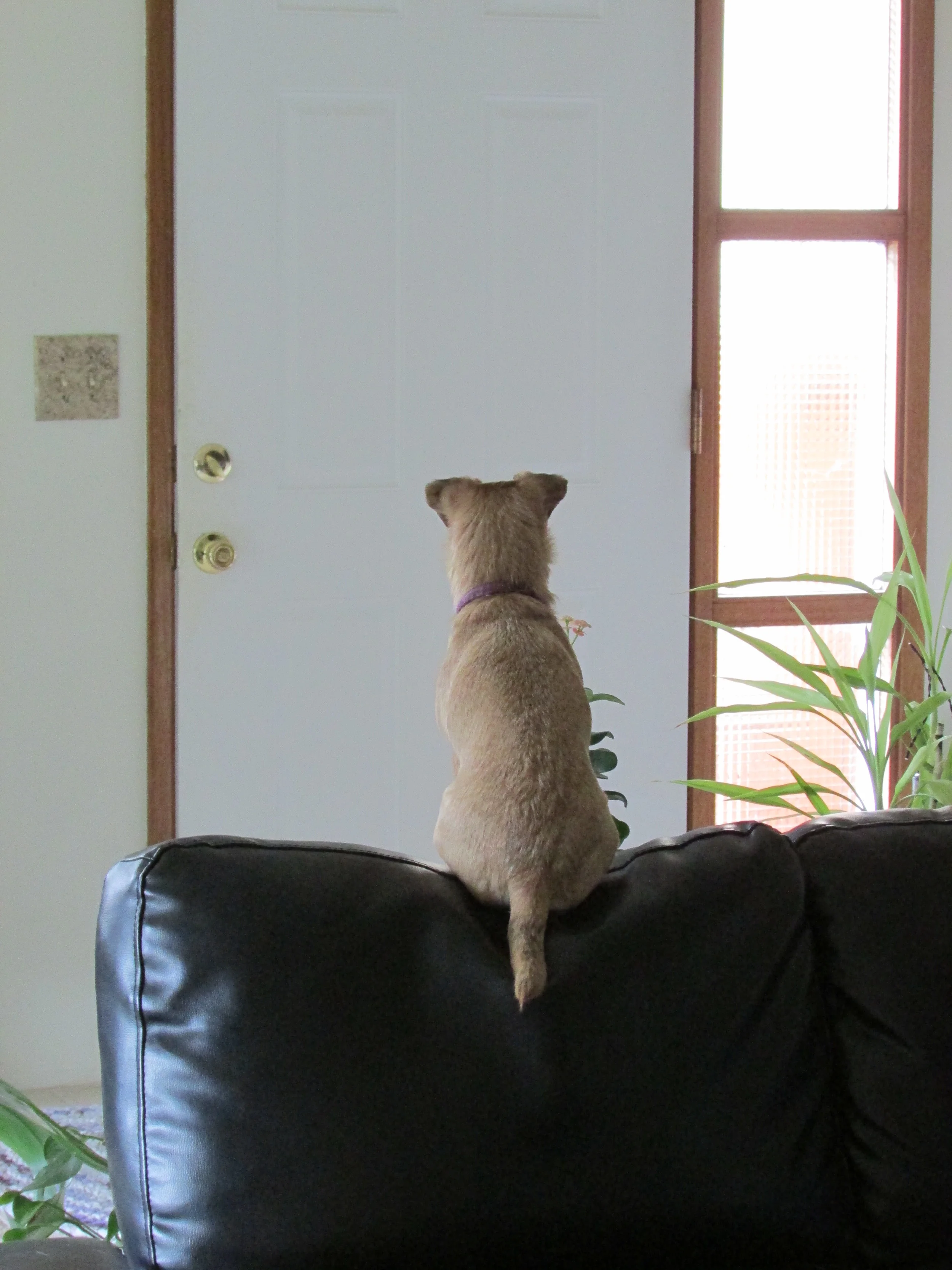 "I hear Mom's car...."