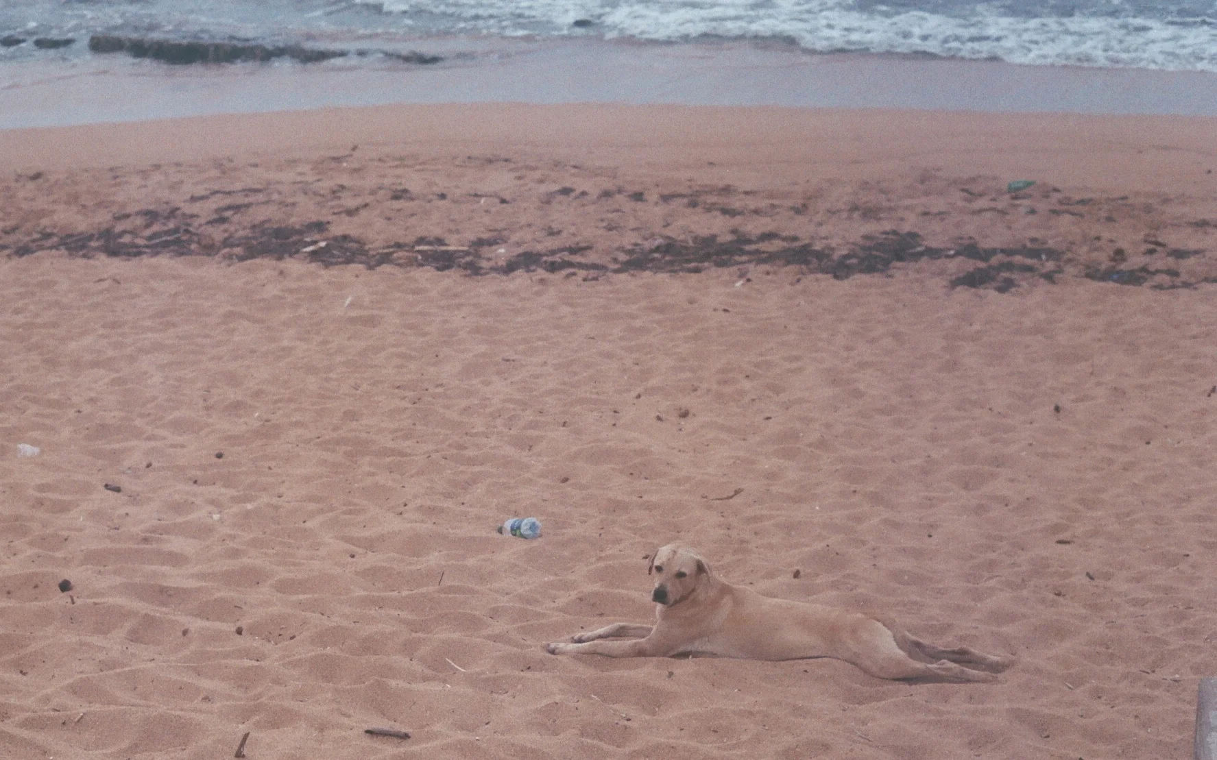015_15.JPG