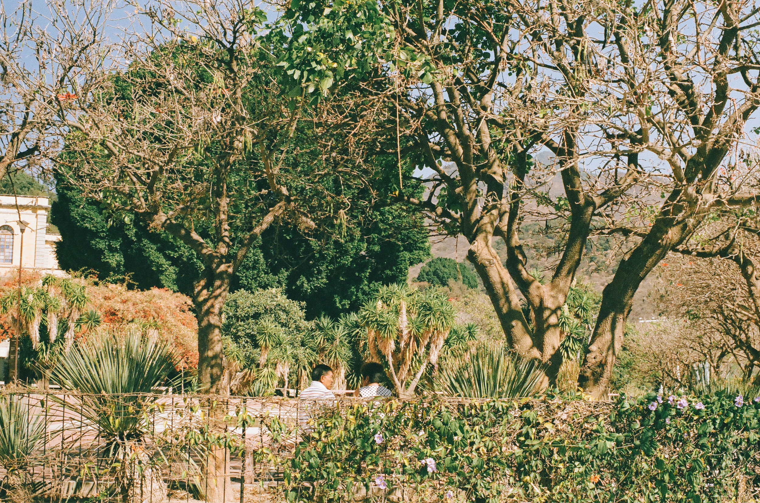 000002010024.jpg