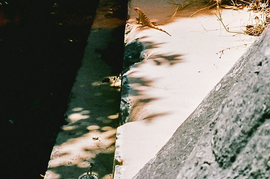 000054320008-2.jpg