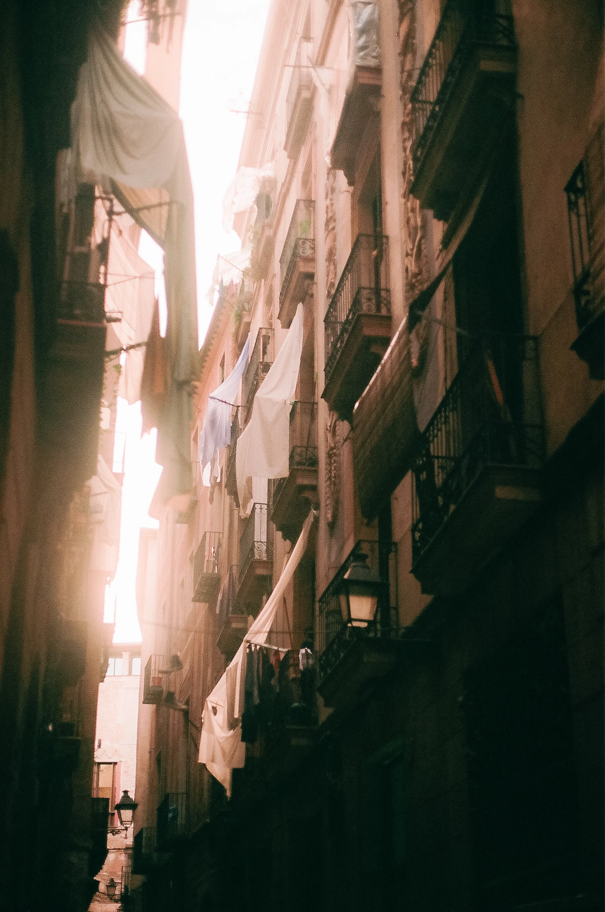 82340026.jpg