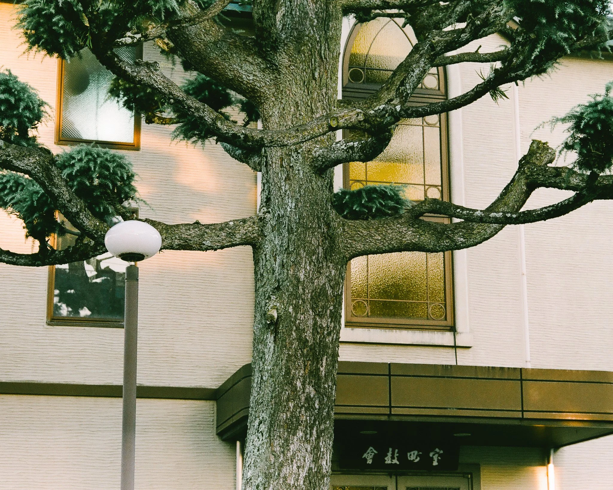 000145450035-2.jpg