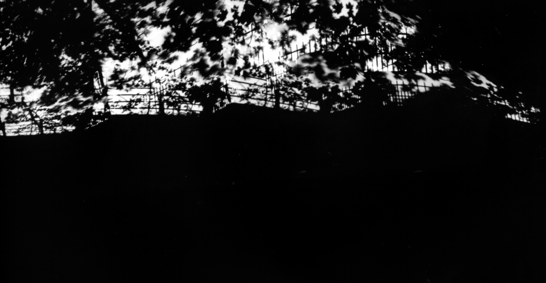 pinhole009-Edit.jpg