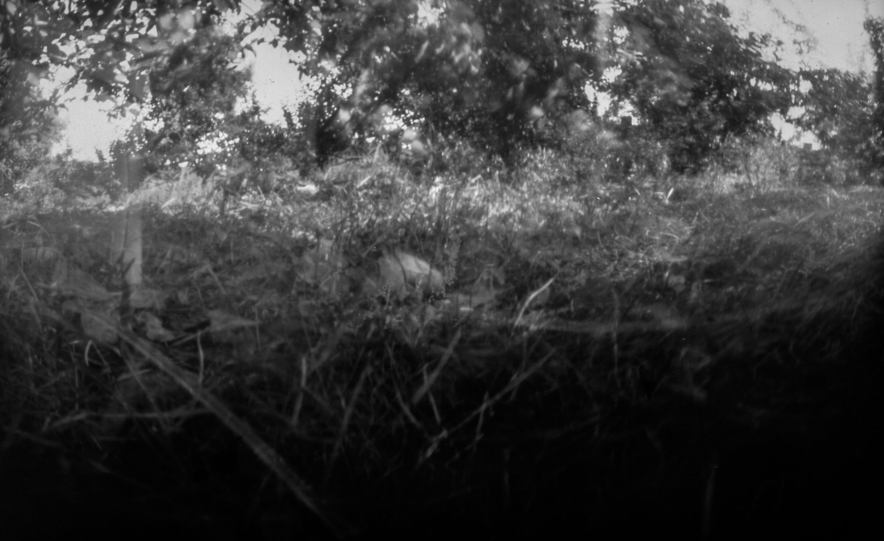 pinhole007-Edit.jpg