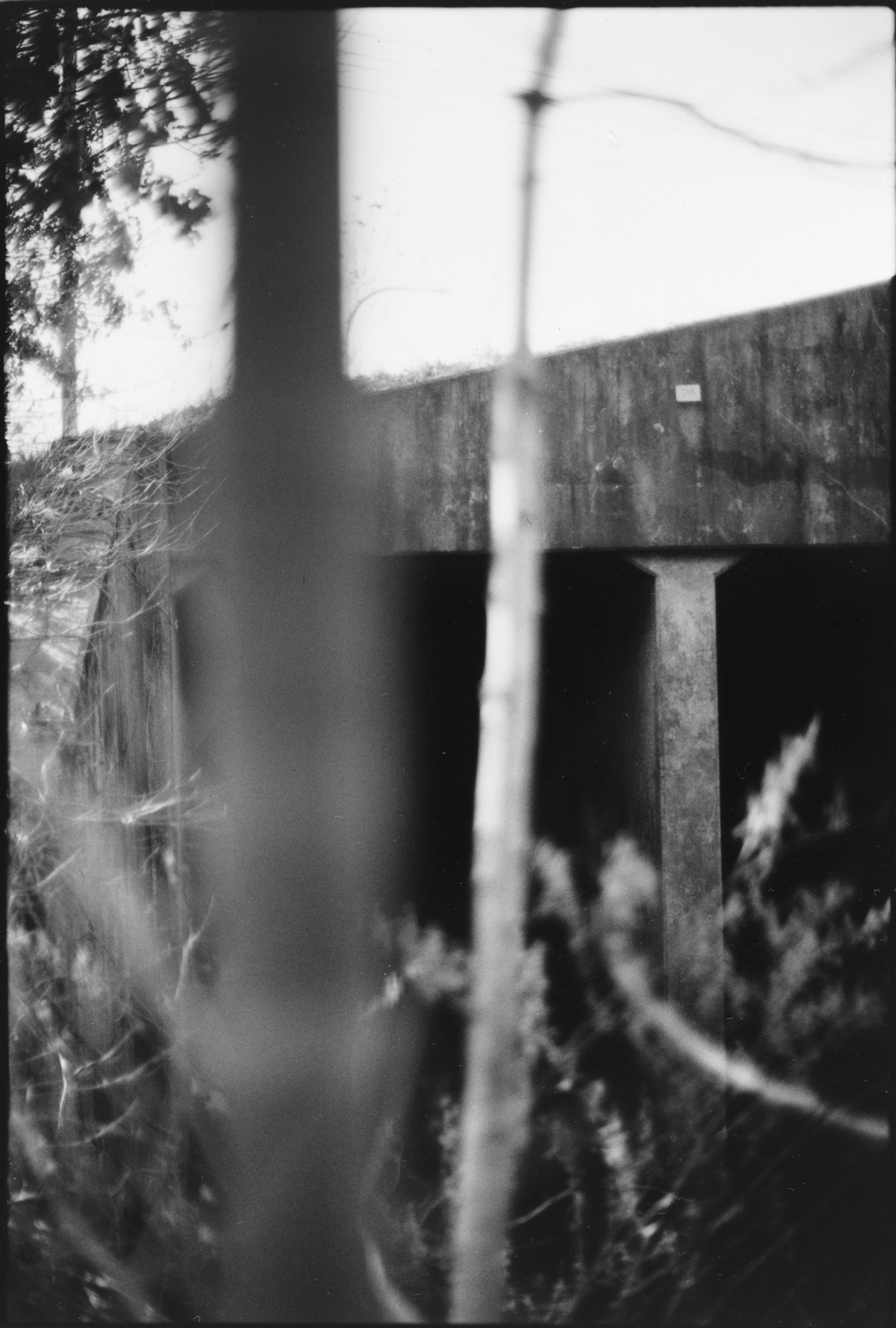 bow_outtake_03.jpg