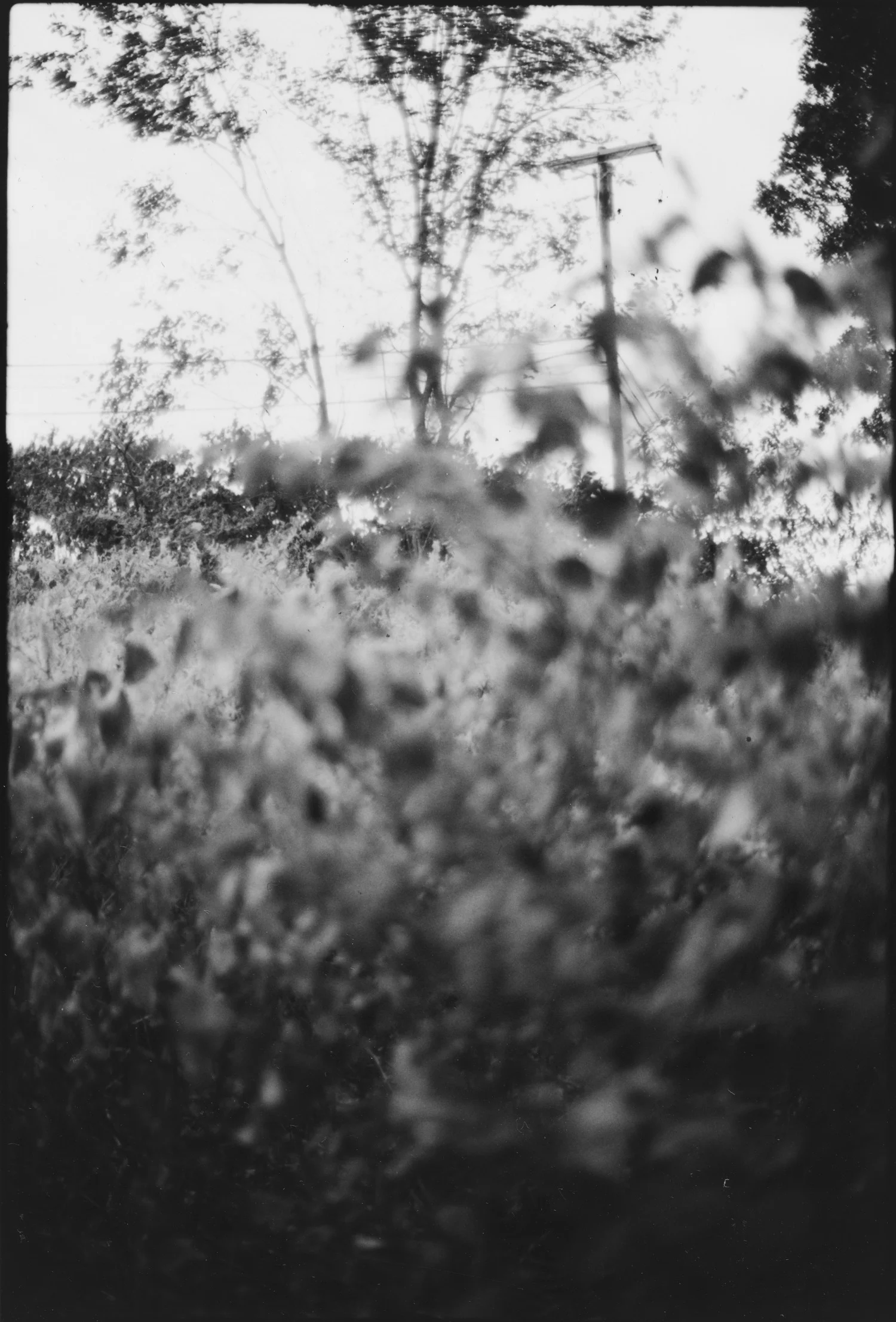 bow_outtake_10.jpg