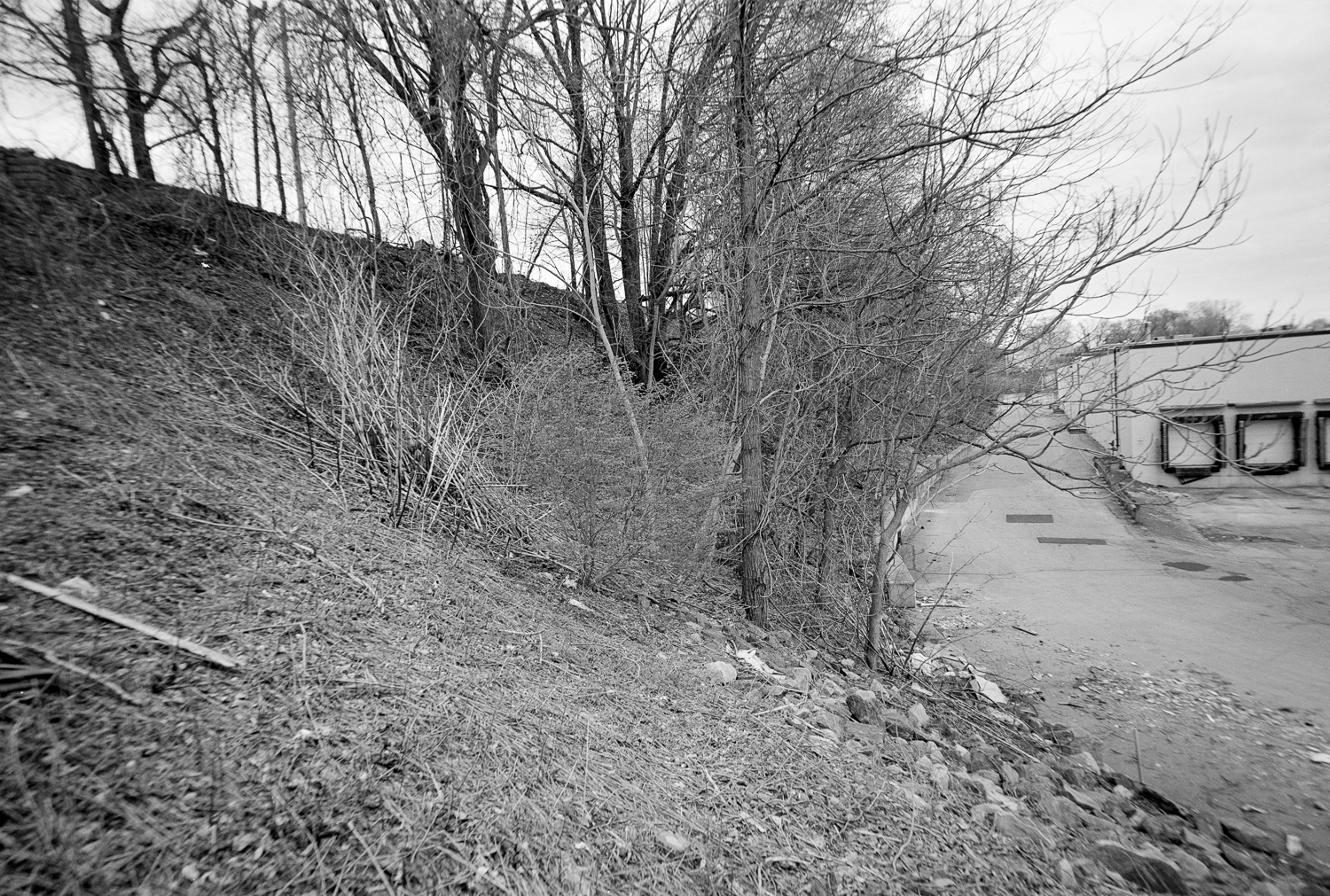 BL_0415_01-Edit.jpg
