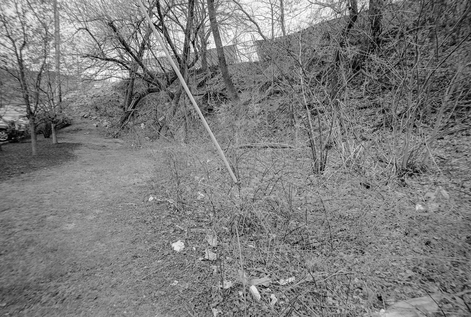 BL_0415_02-Edit.jpg