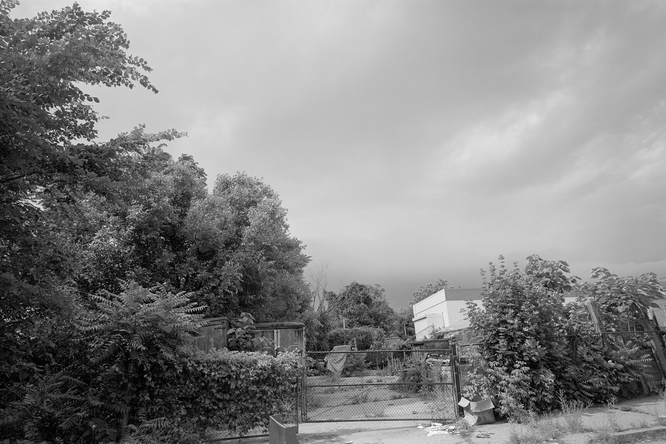 BL_062916_01-Edit.jpg