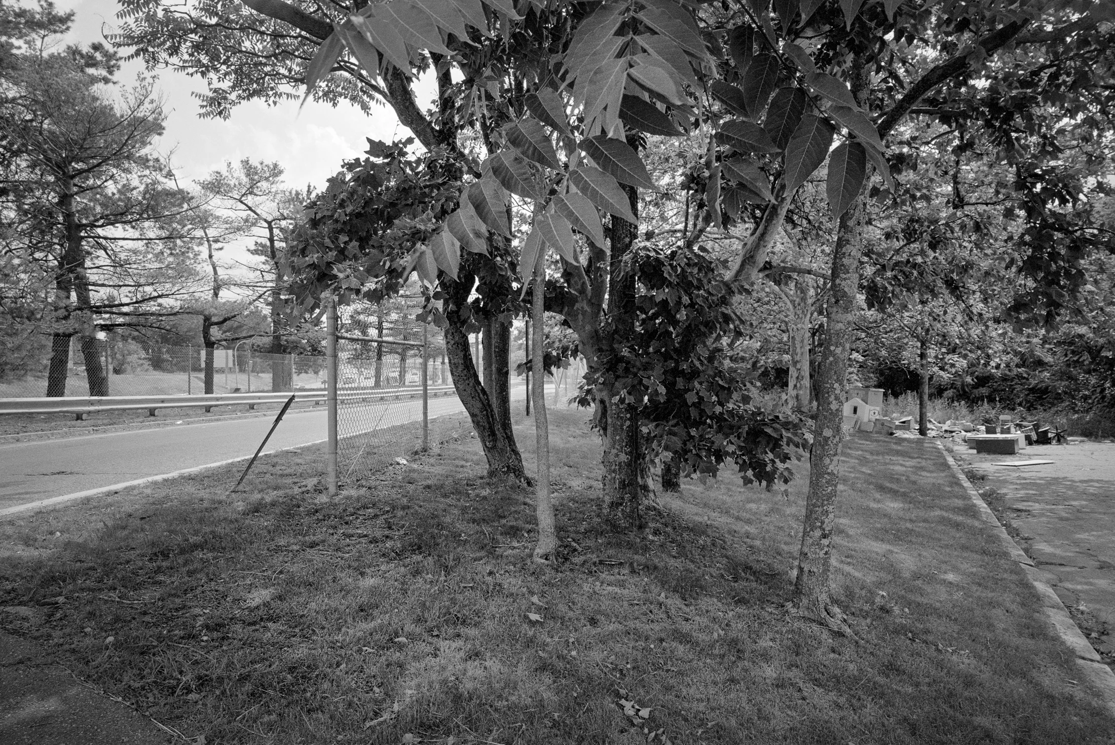 BL_062916_07-Edit.jpg
