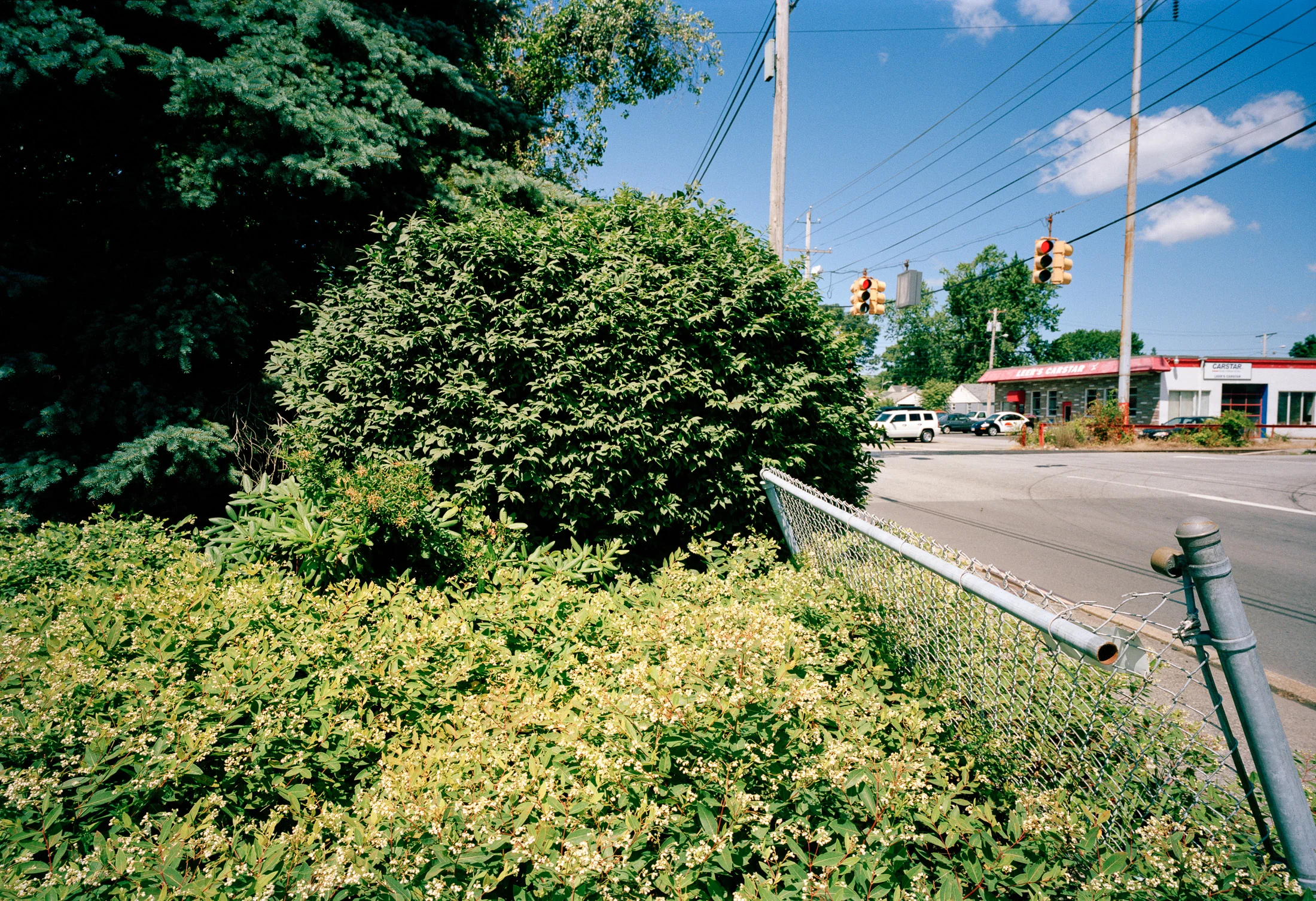 St_V_BL_2013_01-Edit.jpg