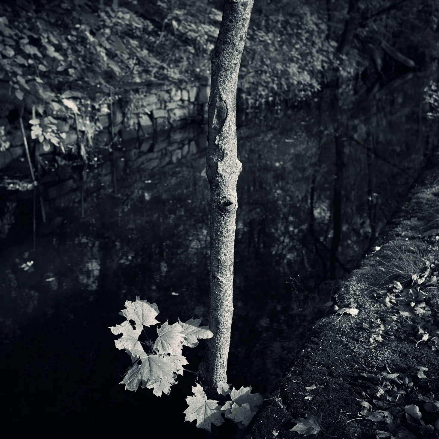 Canal of Ghosts