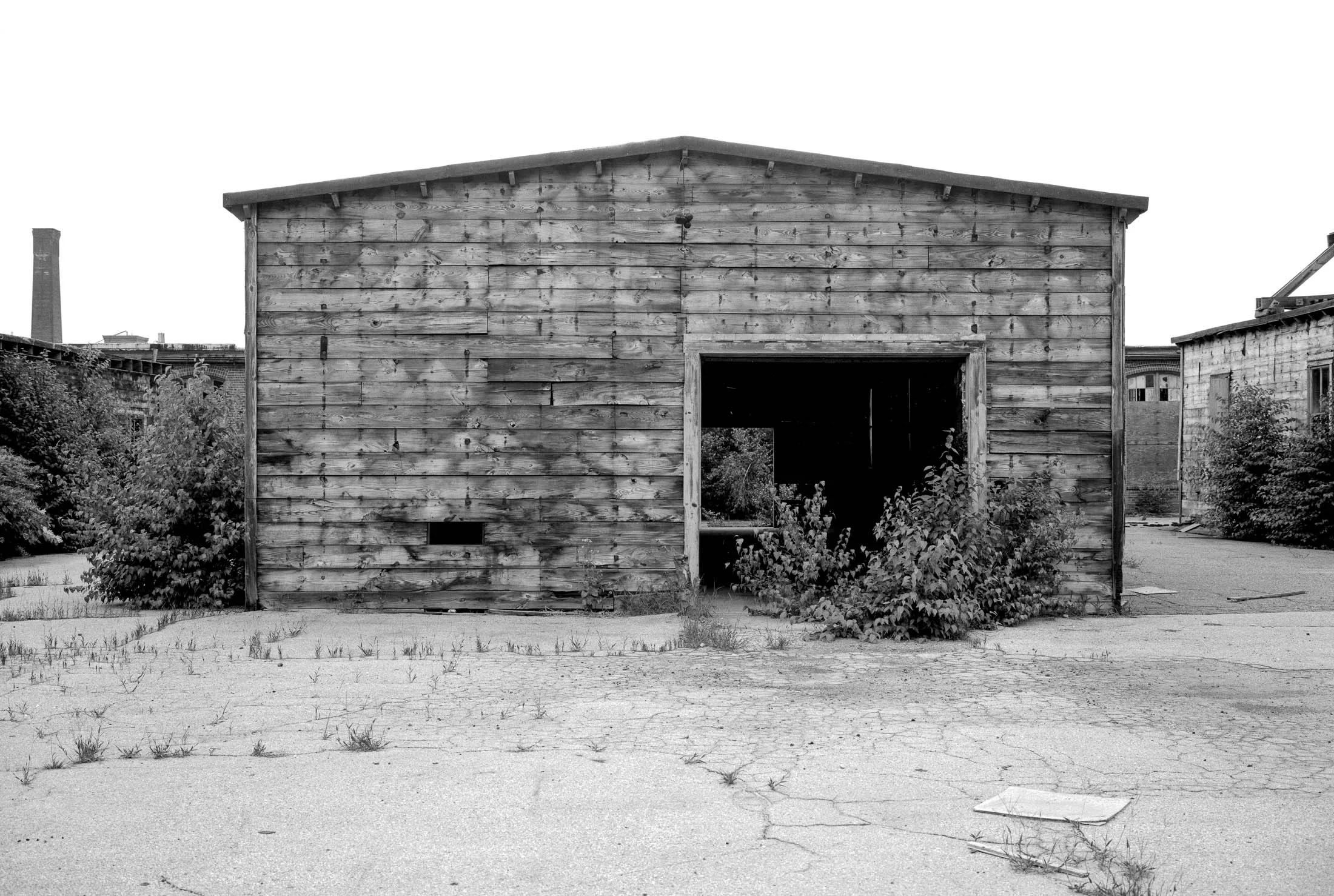 Gorham_WEB_203.jpg