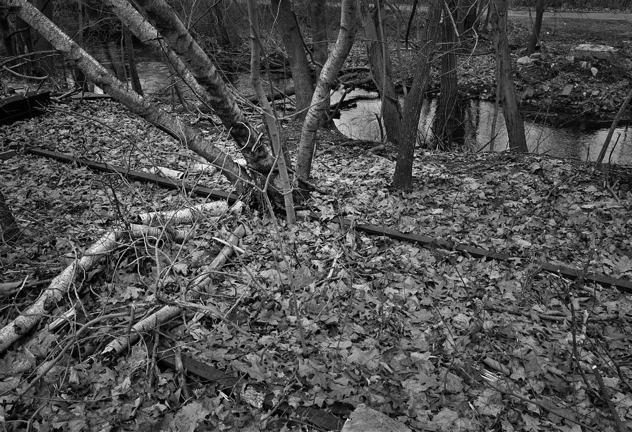 2019_6x9_D3200_02_03 001