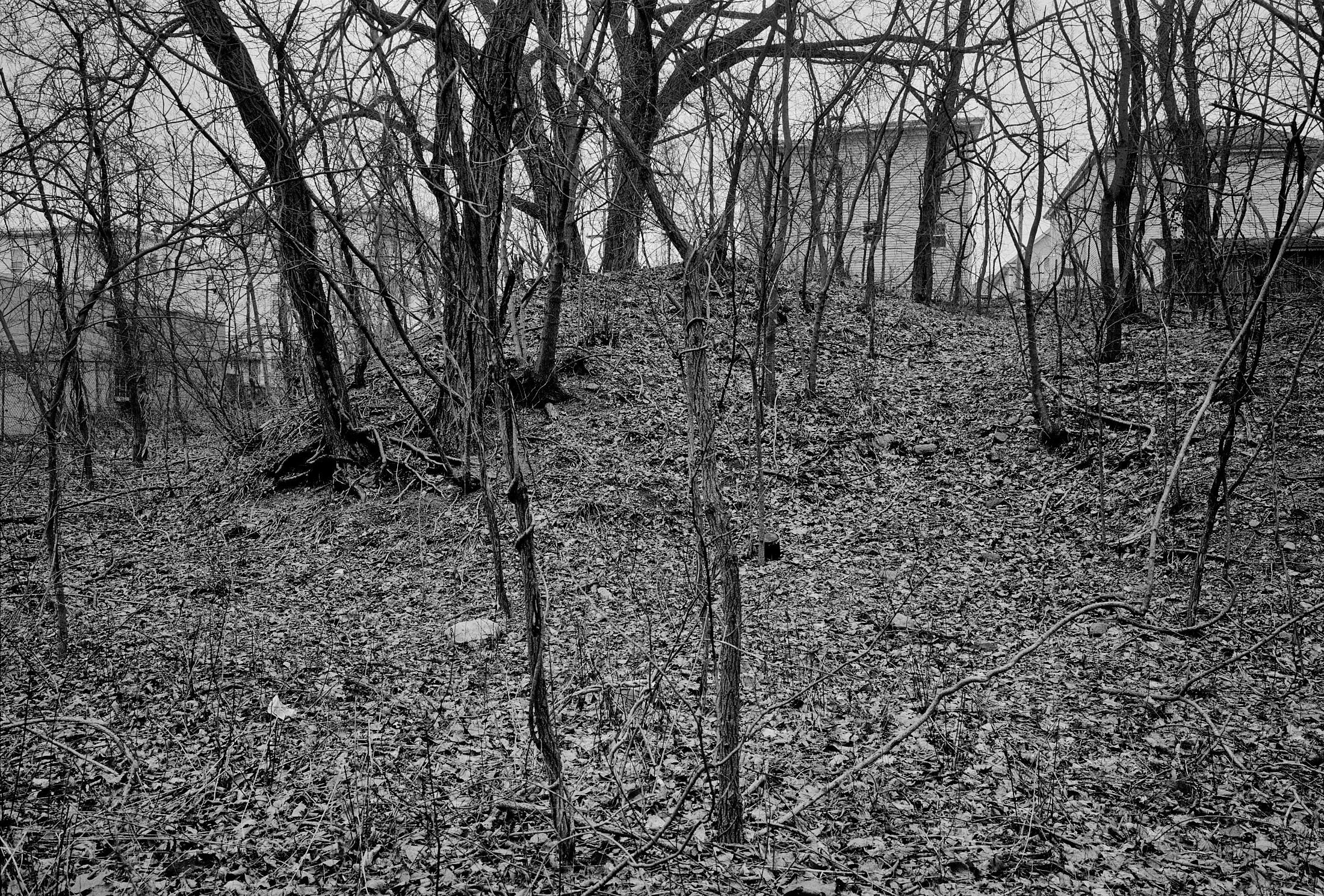 2019_6x9_D3200_02_07 001