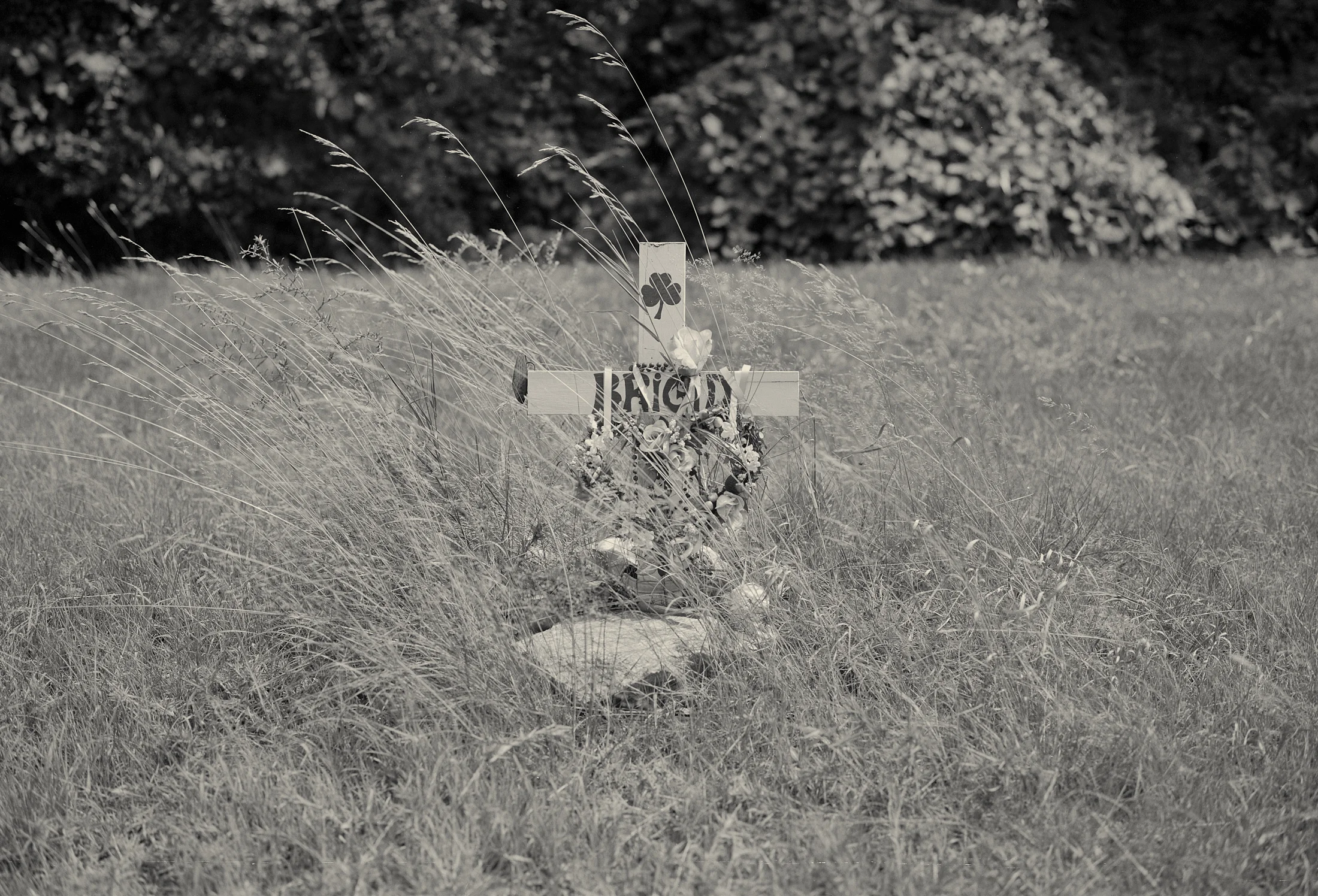 cross_2006_fp4_ 002.jpg