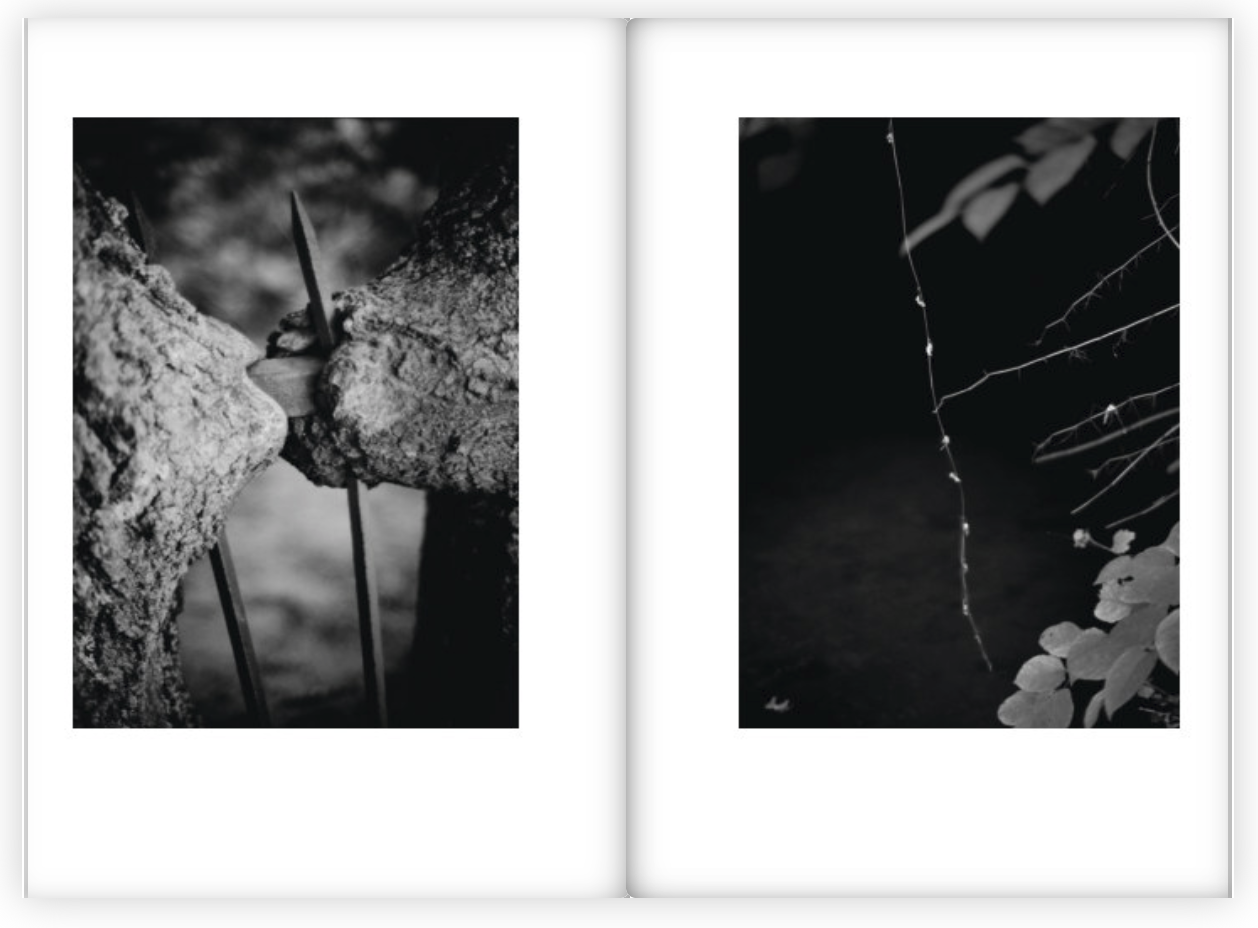 Screen Shot 2020-04-09 at 9.53.16 PM.png