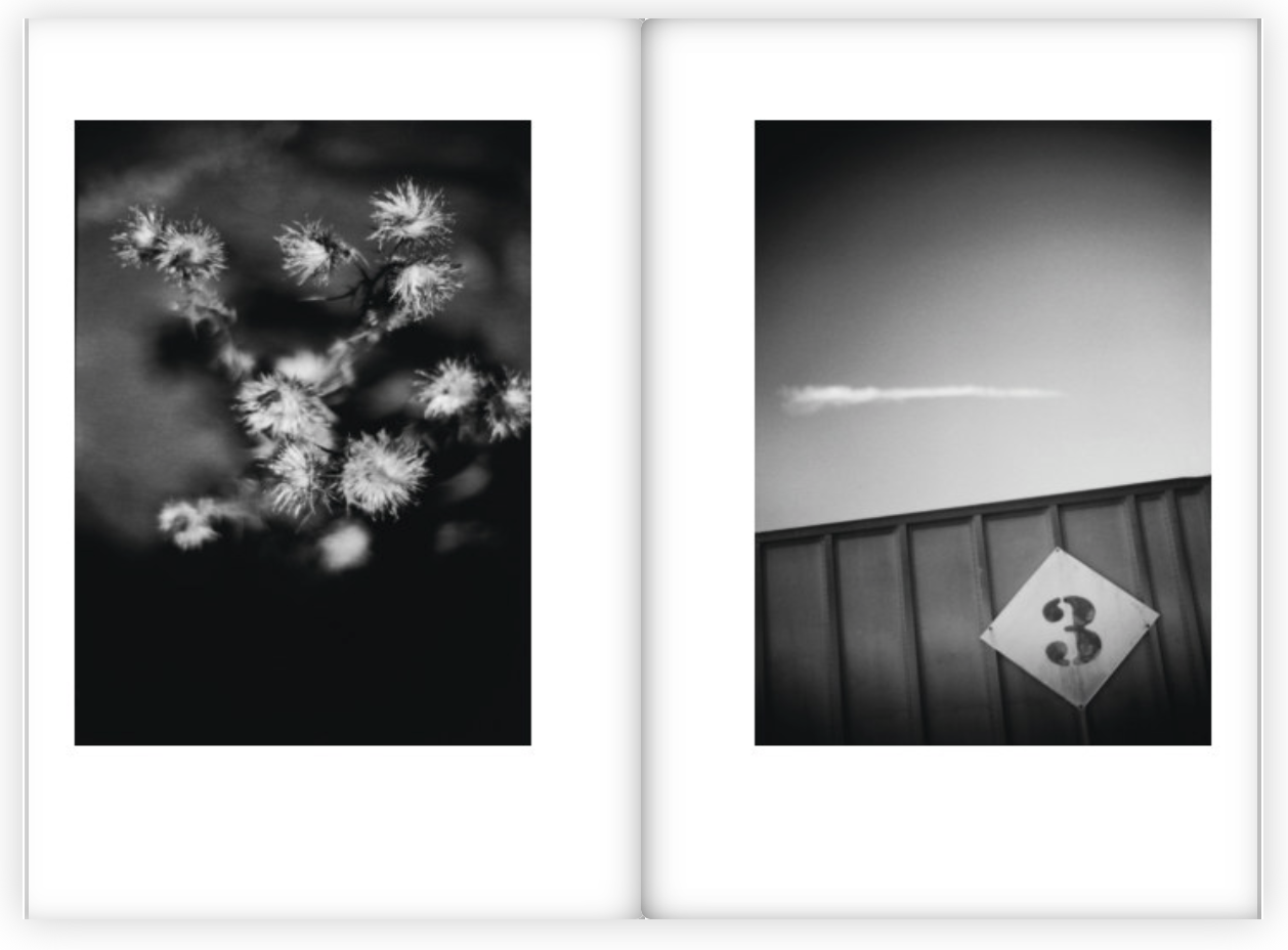 Screen Shot 2020-04-09 at 9.52.49 PM.png