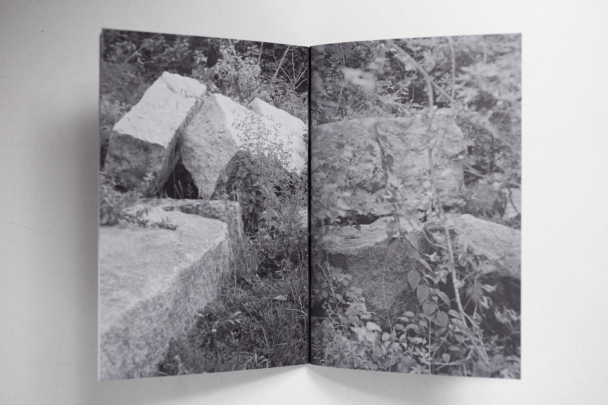 the swale photozine