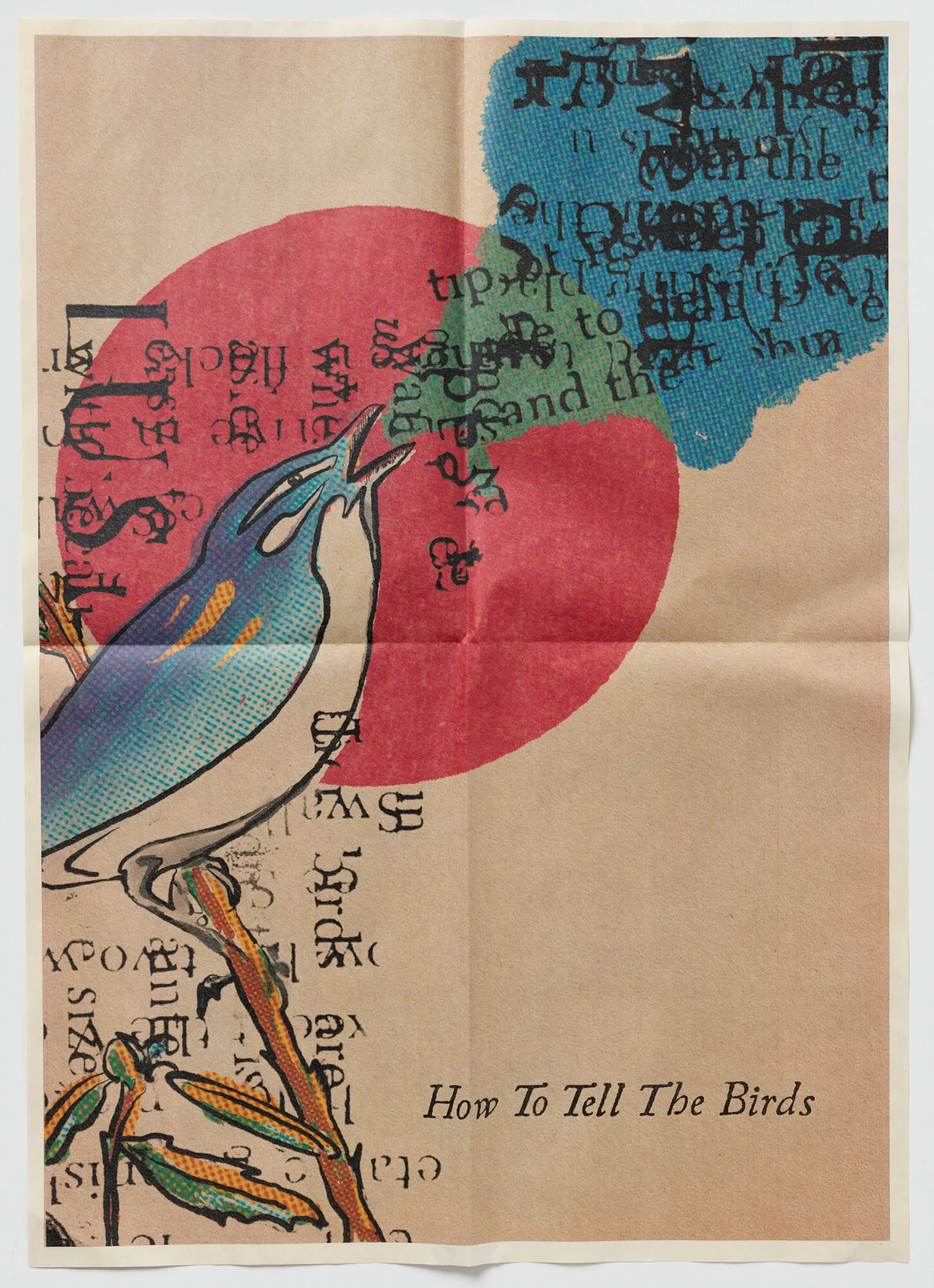 How to Tell the Birds
