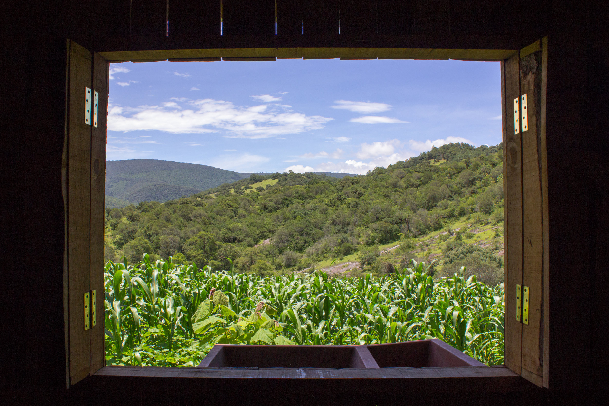  A view of the Barrio countryside as seen through Nati’s kitchen. 