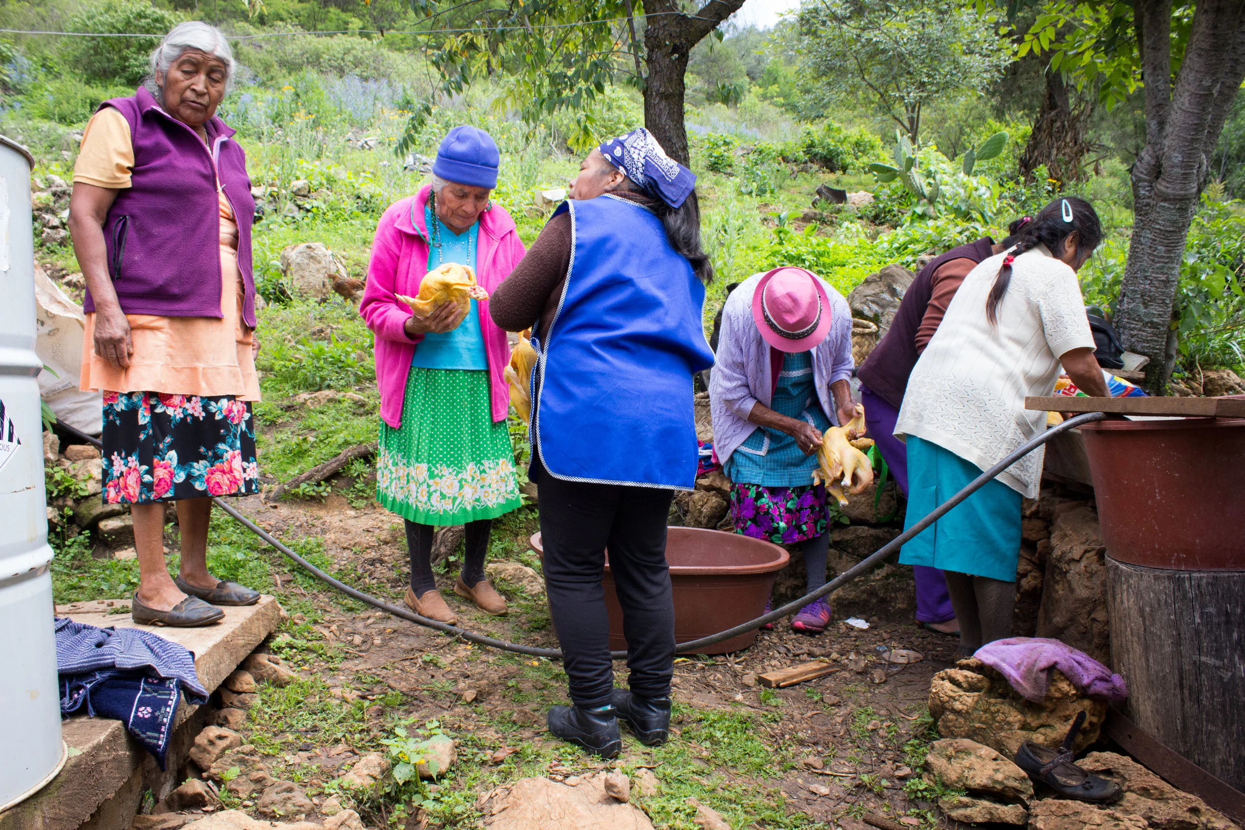 Oaxaca 2018 for web-40.jpg