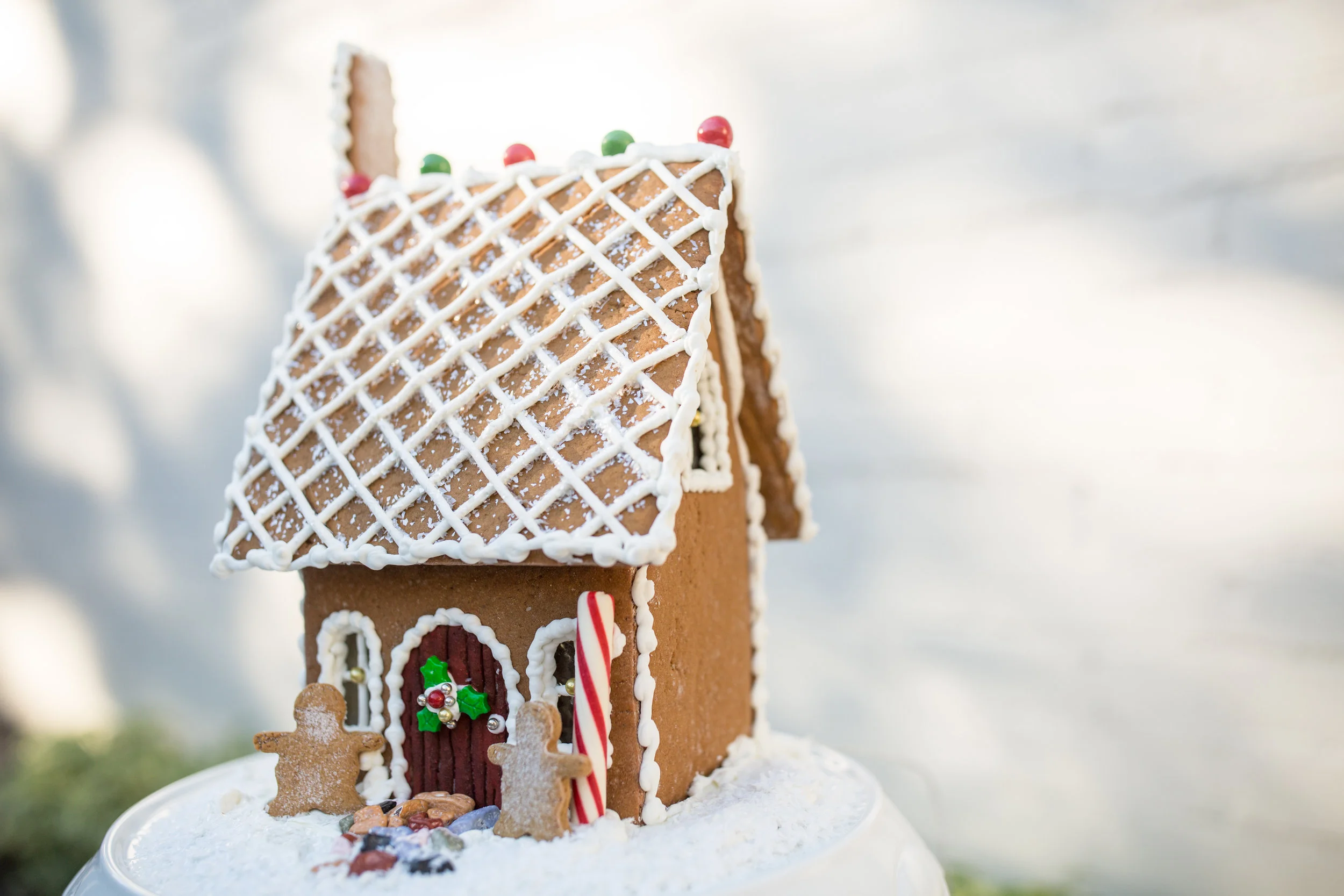 Bill - Winter Holiday