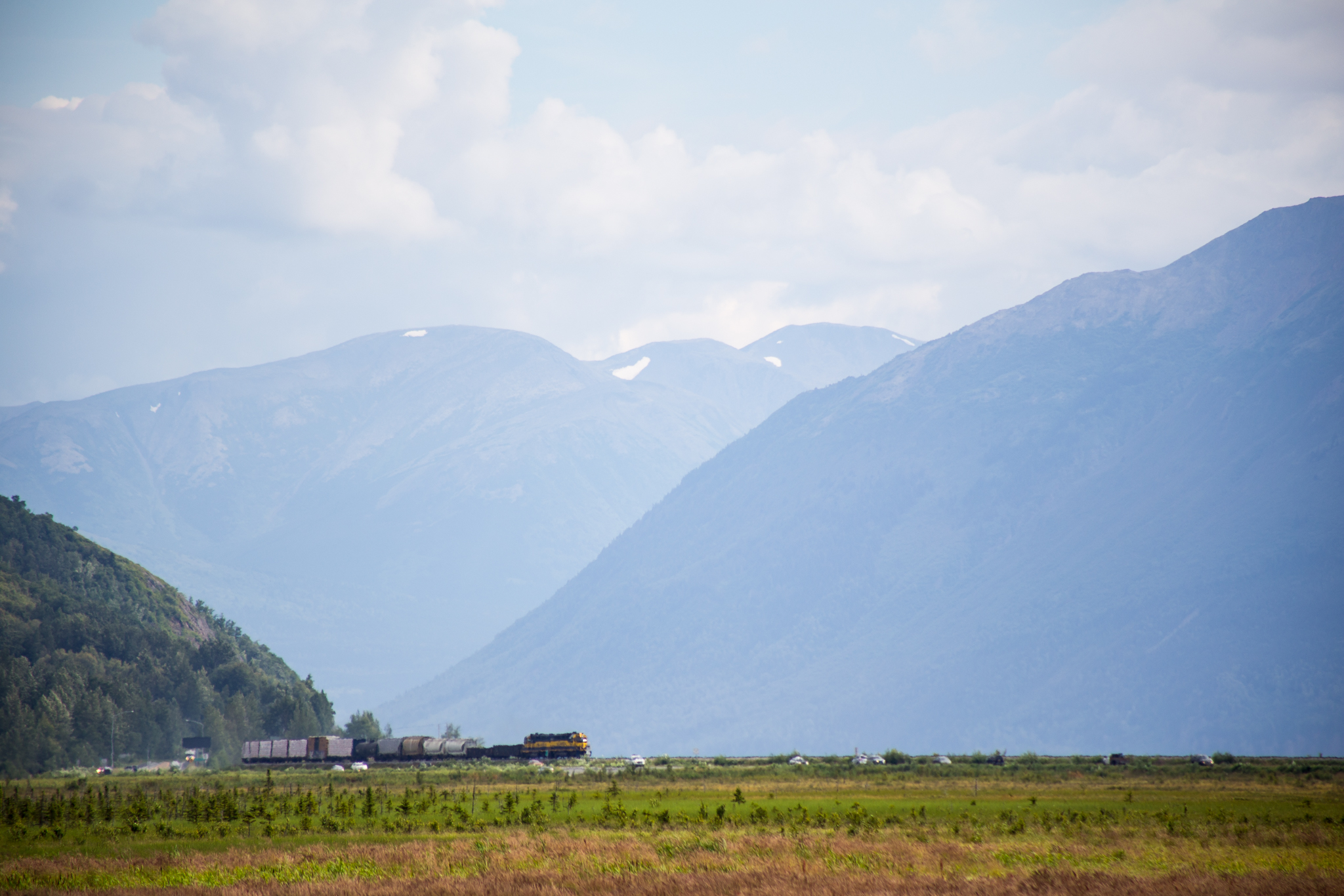 The Alaskan Railroad which sort of runs parallel to the Seward Highway. 