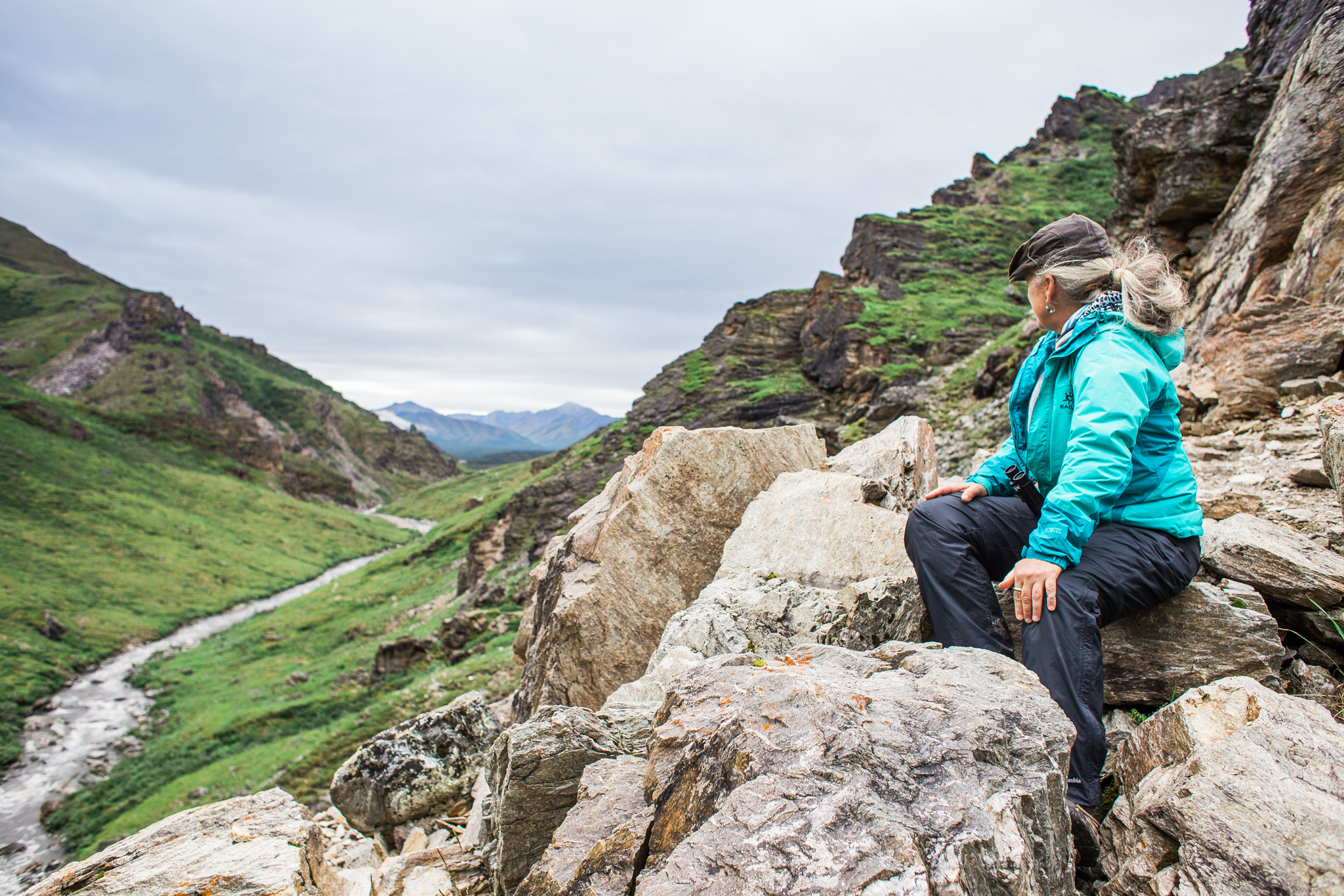 A different day in Denali National Park.