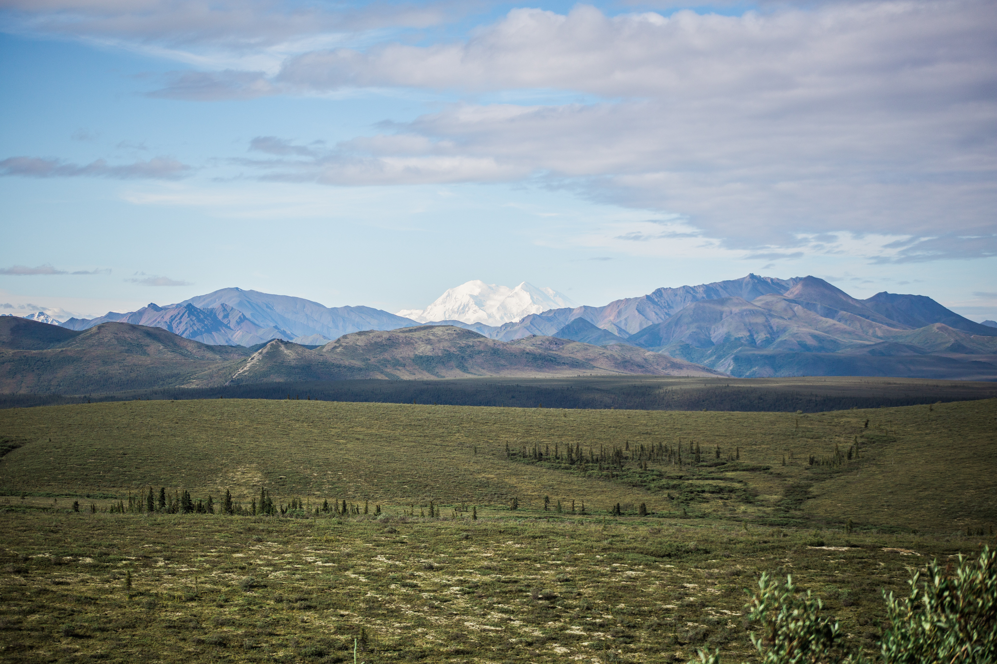 Deanali National Park - A rare day when the peak is actually visable! What a treat!