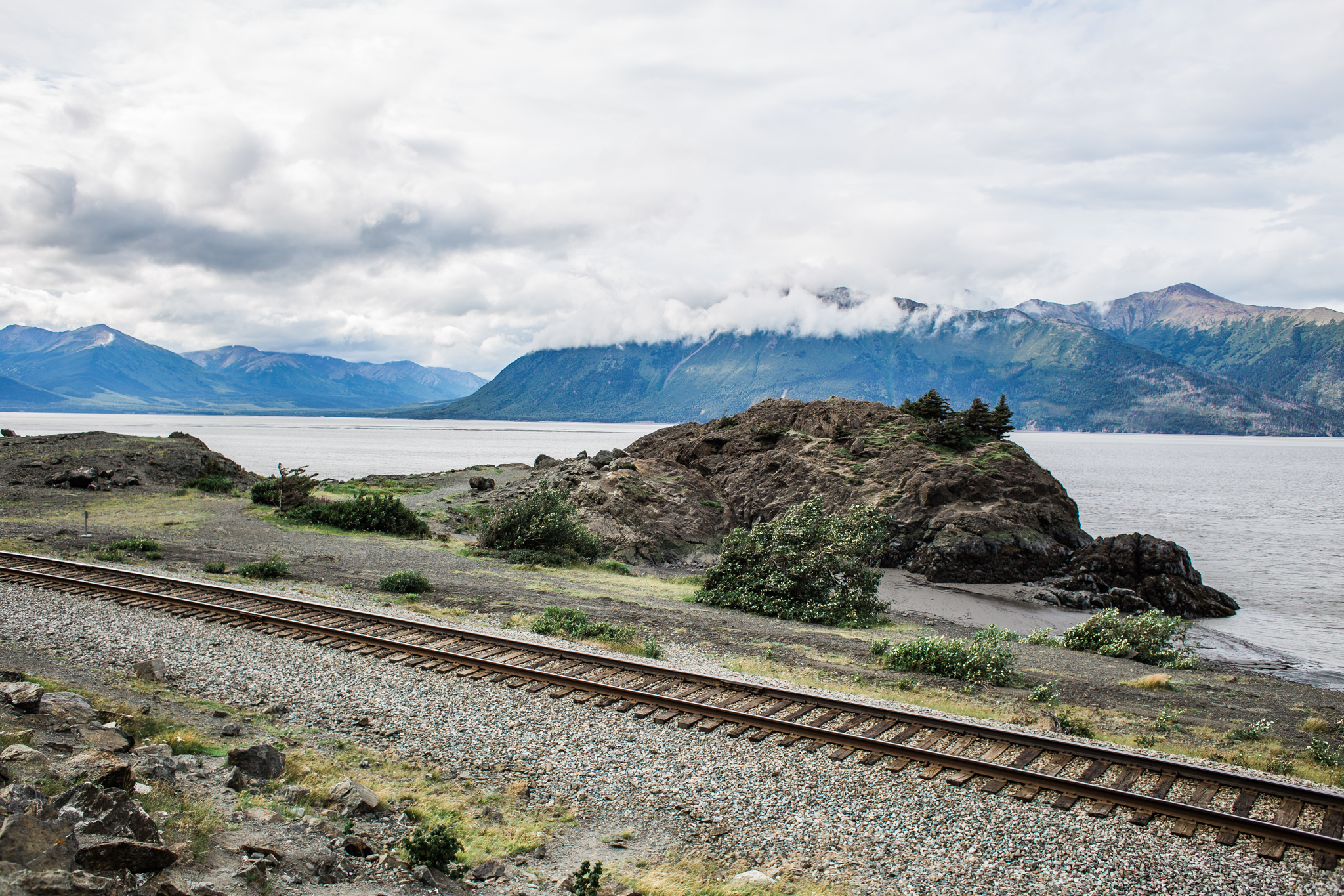 One of my favorite stops is Beluga Point on "the arm". You cross the railroad (illegally, I believe) and explore the other side by the water. During a short time of the year (mid-July through August) you must keep your eye out for Belugas making their way through while the salmon are running. 