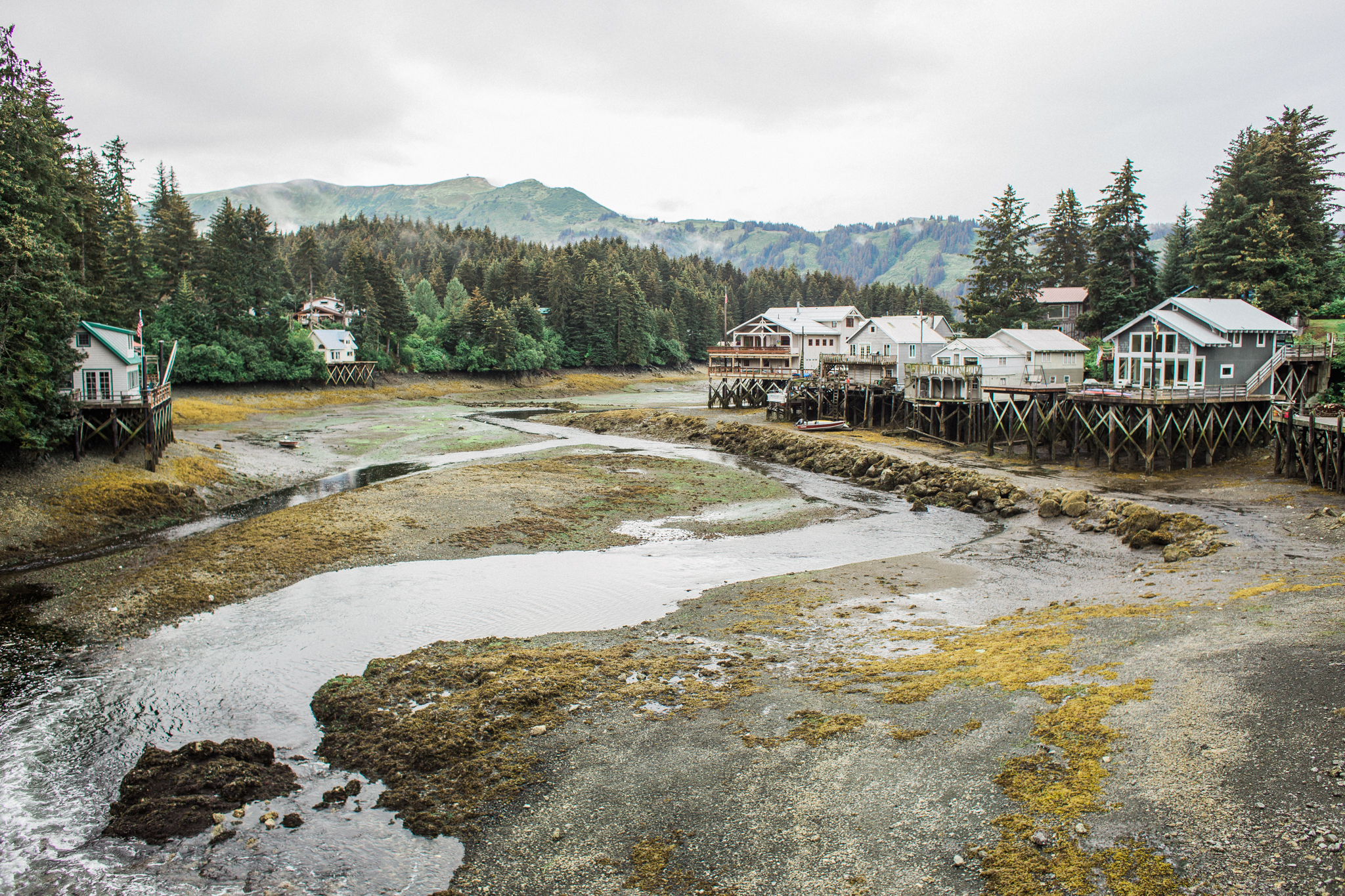 Here you can see how the tide has pulled the water out of Seldovia making the stilt houses look unnecessary.... but in just a few hours they will be "floating" homes once more. 