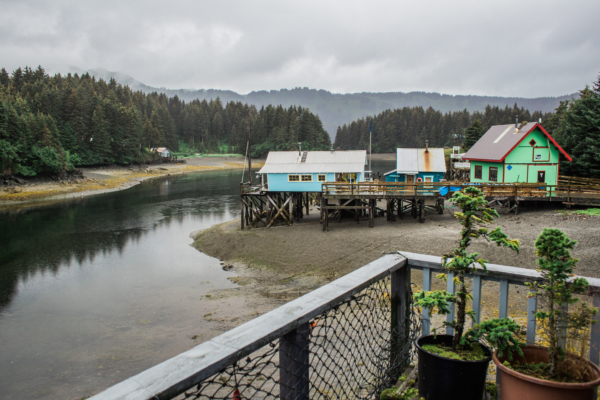 Oh Seldovia, what a magical place. You can only get here via boat/ferry and you can stay in little b&b's that are stilt houses along the slough. 