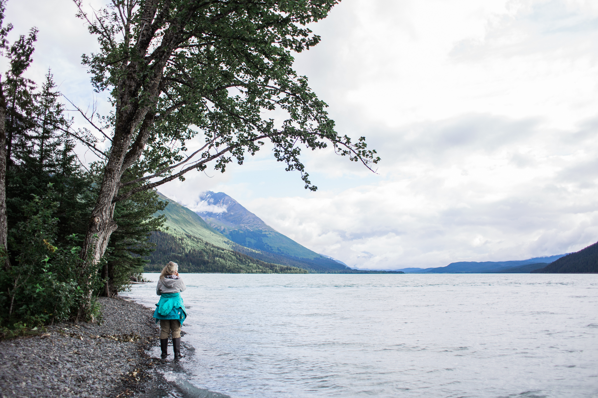 Ptarmigan Creek - North of Seward