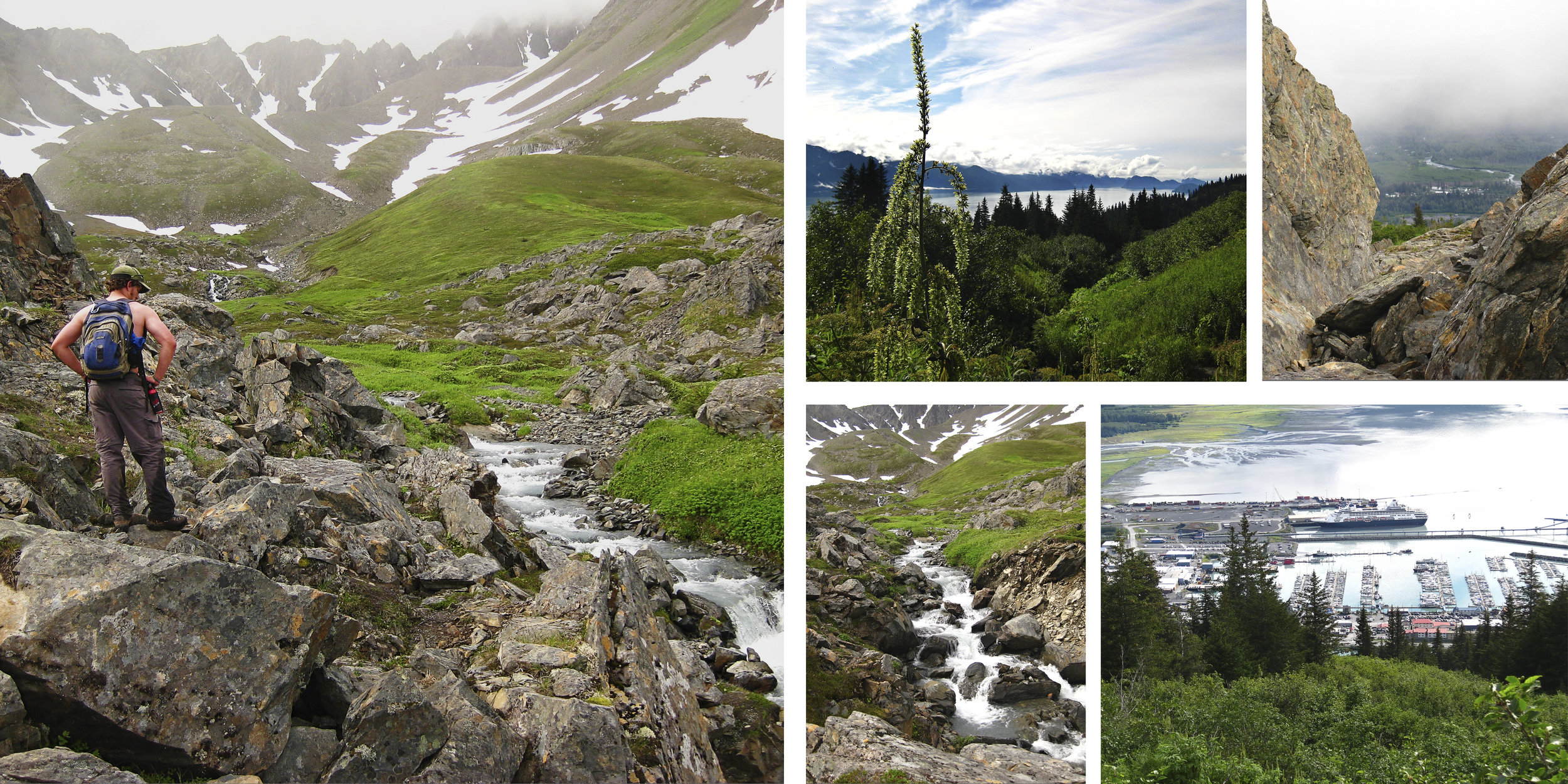 Mount Marathon in Seward is breathtaking. It is quite a hike but gives you the most amazing view of Seward down below. 