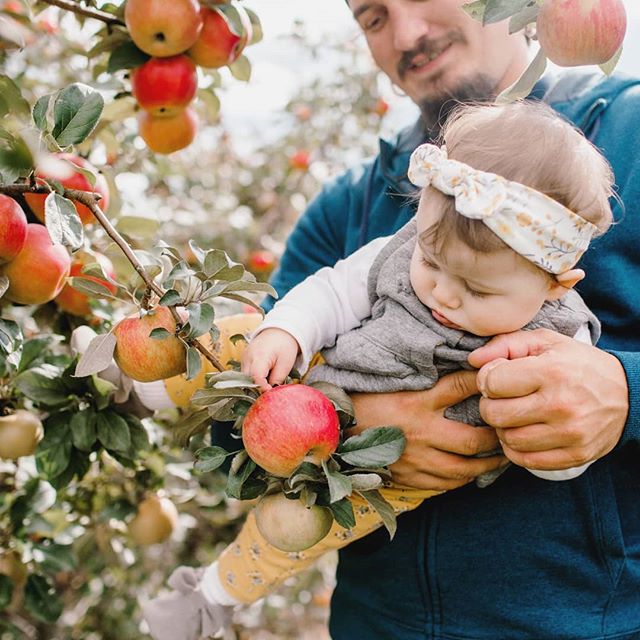 🍎 Apple pickin' with my two sweets.🍎 😍 
Makes me want to start an #agritourism farm.... My hubby thinks I'm nuts. 😜 .
.
.
.
.
.
.
.
.
.
.
.
#applepicking #sundayfunday #farmfun #fallactivities #motherhood #babygirl #ourbabygirl #ourlittlefamily #