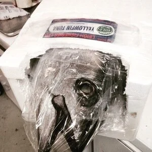 fishwrap.jpg