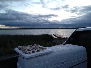 truckoysters.jpg