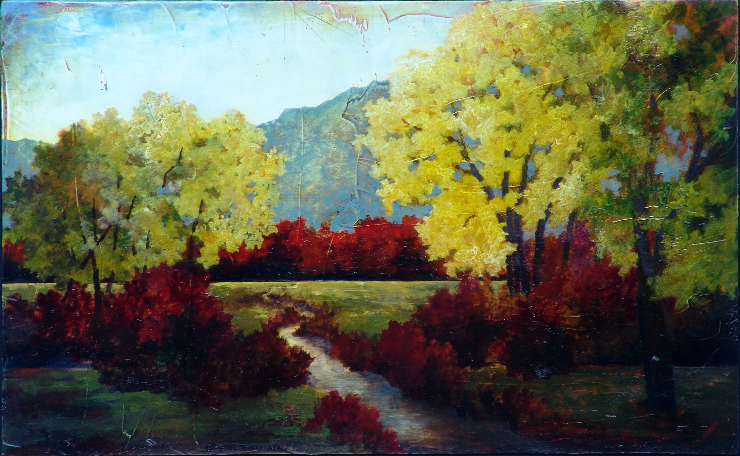 04043 Fulness Shine  18.5 x 28 June Standley.JPG