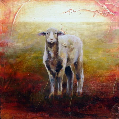 0704004 Little Lamb #2 10.5 x 10.5 not sure where.jpg