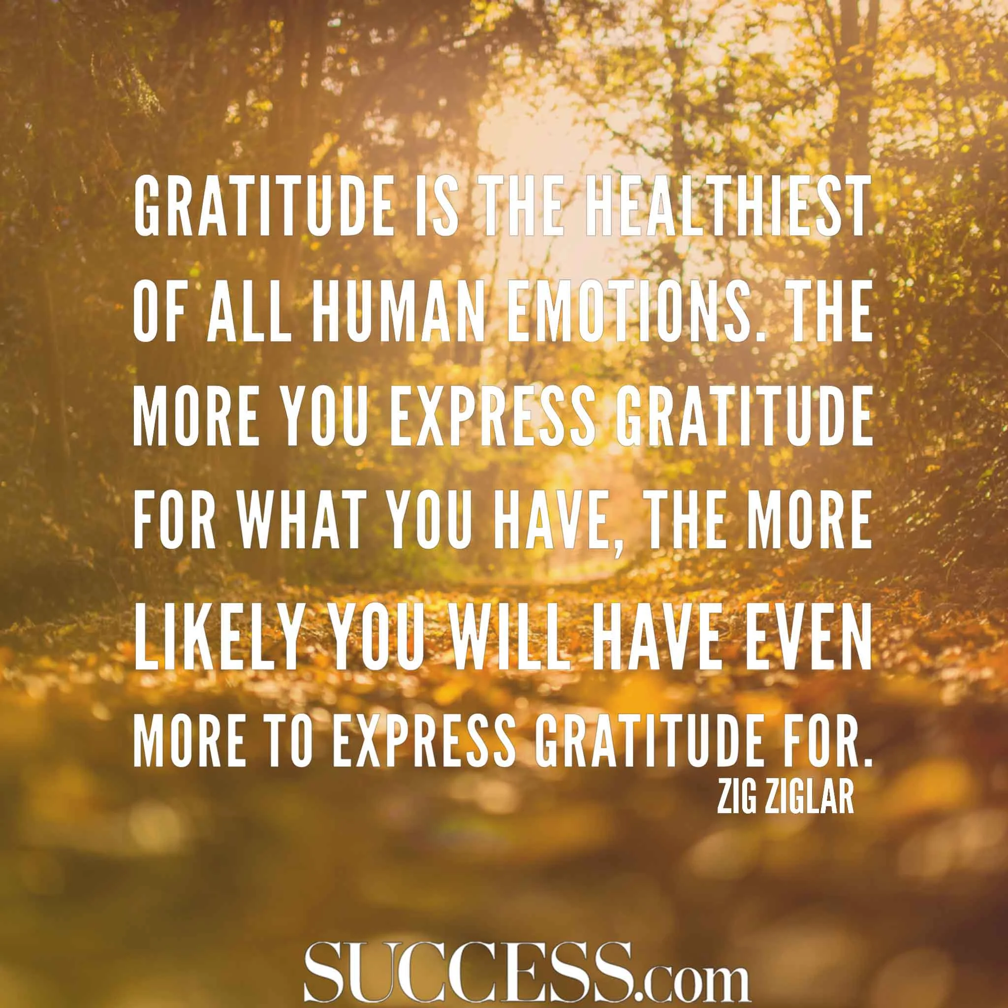 5 Practices to Get the Most Out of Your Gratitude Challenge! 