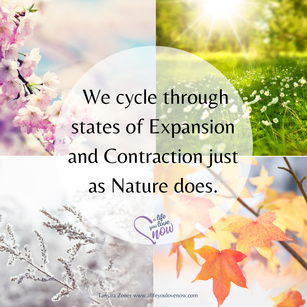Nature's Greatest Guidance - The Cycle of Contraction and Expansion