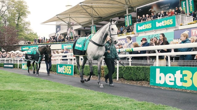 Sandown Jump Finale Spring 2018 Social