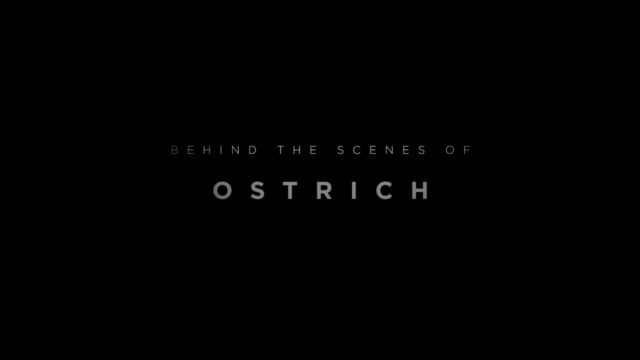 Ostrich - Behind The Scenes