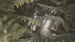 At One With Nature