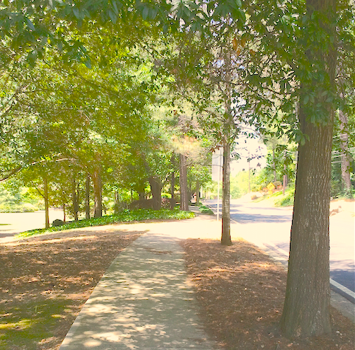 Cliff Valley Office_surrounding 1.png