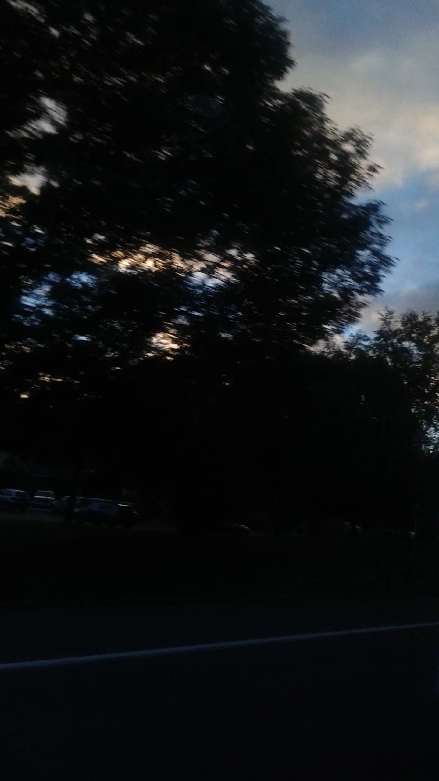 20151006_071231.jpg