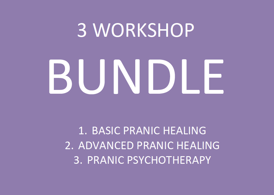 3 Workshop Bundle.png